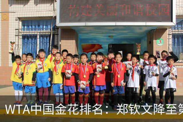 WTA中国金花排名：郑钦文降至第122 王曦雨创佳绩升至第100